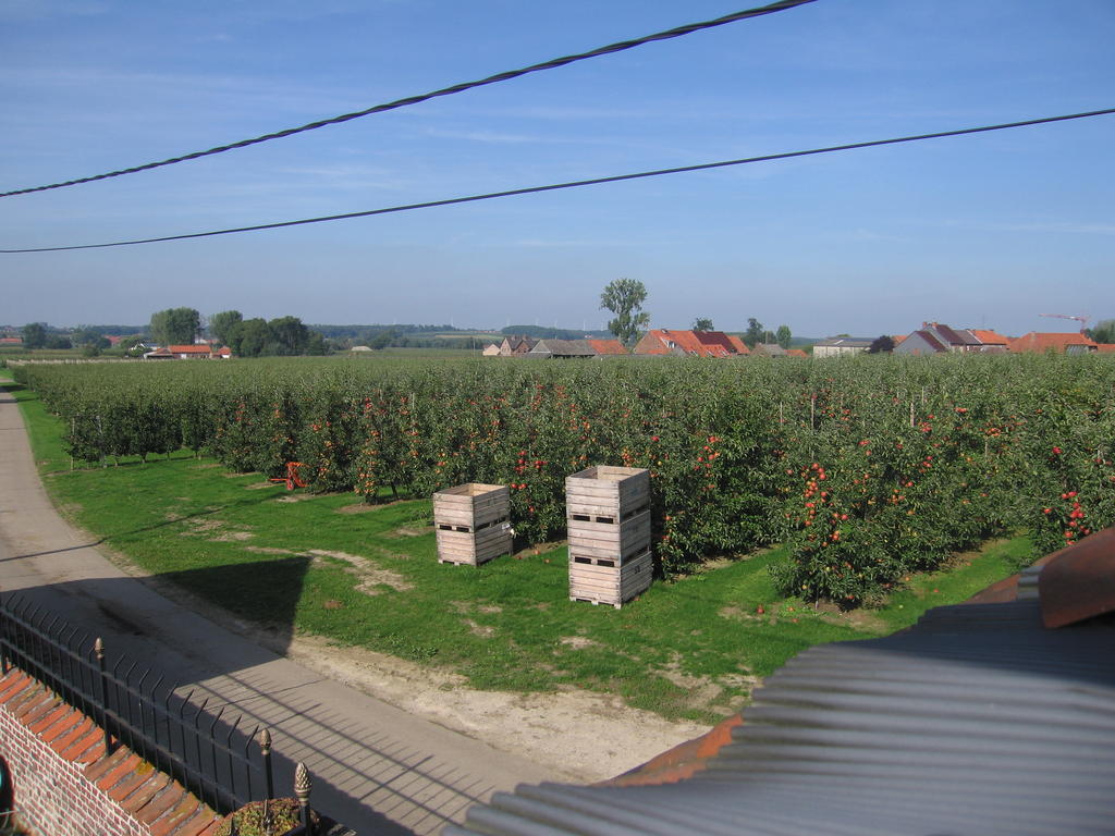 B&B Hoeve Ransberg Exterior foto